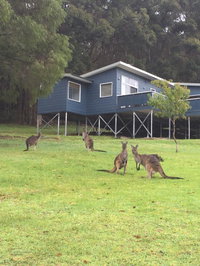 Book Denmark Accommodation Vacations South Australia Travel South Australia Travel