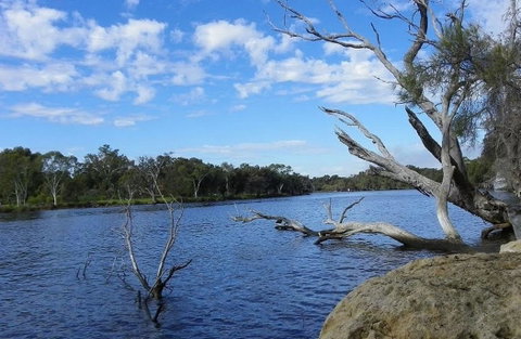Ascot Comfort - South Australia Travel 23
