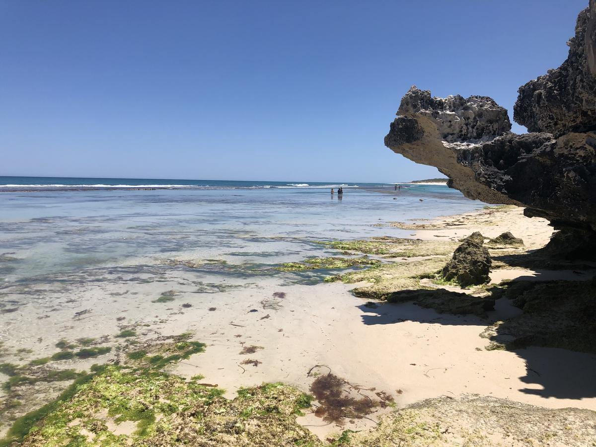 Yanchep WA South Australia Travel