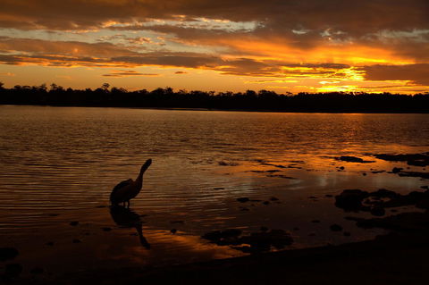 Dungowan Holiday Accommodation - South Australia Travel 31