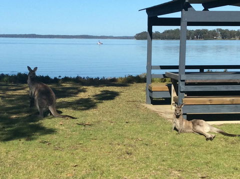 Dungowan Holiday Accommodation - South Australia Travel 33