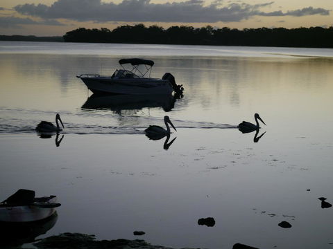 Dungowan Holiday Accommodation - South Australia Travel 41