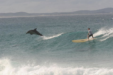 Crescent Head Spa Villa - South Australia Travel 22