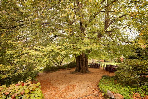 Nesuto Leura Gardens (formerly Waldorf Leura Gardens Resort) - South Australia Travel 1