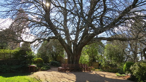 Nesuto Leura Gardens (formerly Waldorf Leura Gardens Resort) - South Australia Travel 3