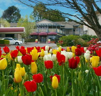 Nesuto Leura Gardens formerly Waldorf Leura Gardens Resort - South Australia Travel