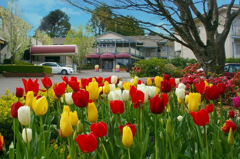 Nesuto Leura Gardens (formerly Waldorf Leura Gardens Resort) - South Australia Travel 0