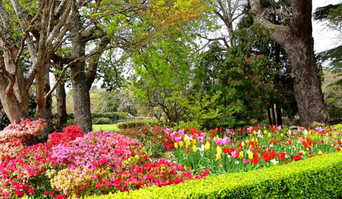 Nesuto Leura Gardens (formerly Waldorf Leura Gardens Resort) - South Australia Travel 8