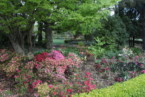 Nesuto Leura Gardens (formerly Waldorf Leura Gardens Resort) - South Australia Travel 2