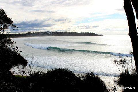 Mollymook Cove Apartments - South Australia Travel 2