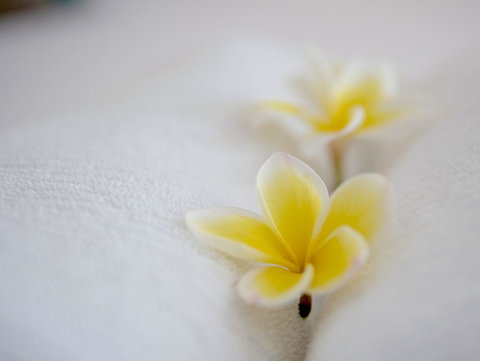 Cossies By The Sea - South Australia Travel 16