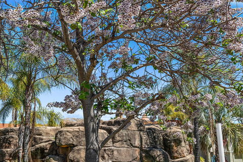 Quality Resort Siesta - South Australia Travel 2