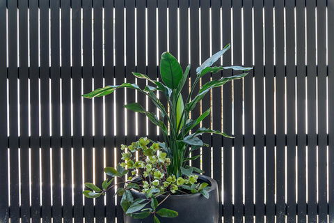 Quality Resort Siesta - South Australia Travel 8