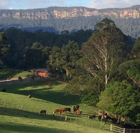 Amaroo Valley Springs - South Australia Travel
