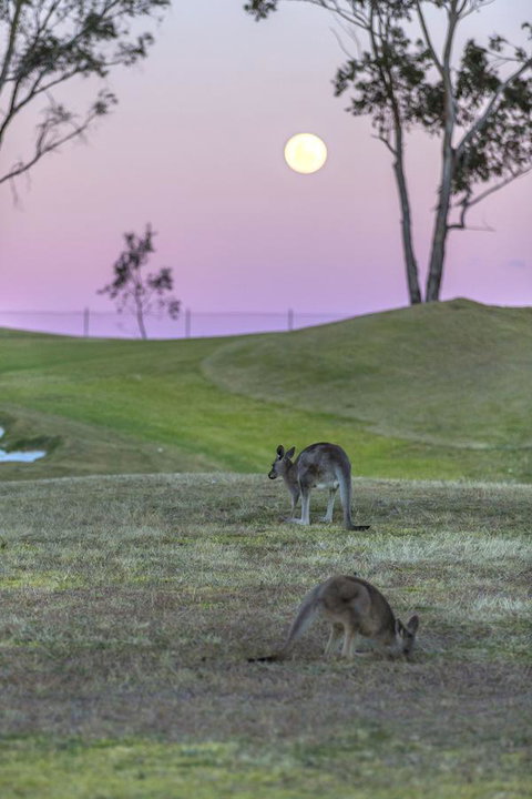 Oaks Cypress Lakes Resort - South Australia Travel 28