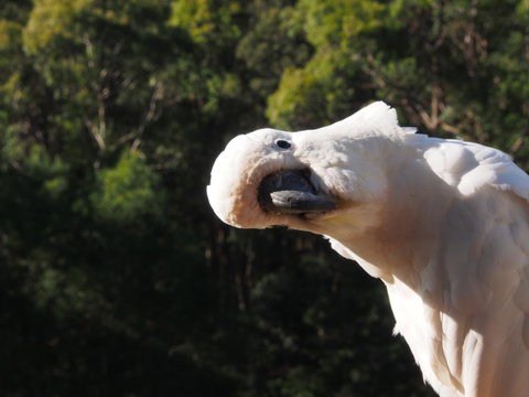 Bundle Hill Cottages - South Australia Travel 1