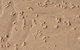 Bundle Hill Cottages - thumb 4