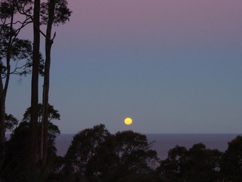 Bundle Hill Cottages - South Australia Travel 36