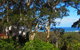 Bundle Hill Cottages - thumb 7
