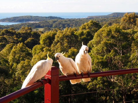 Bundle Hill Cottages - South Australia Travel 2