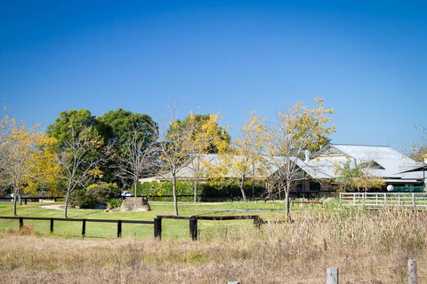 Potters Apartments - South Australia Travel 26