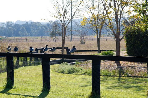 Potters Apartments - South Australia Travel 24