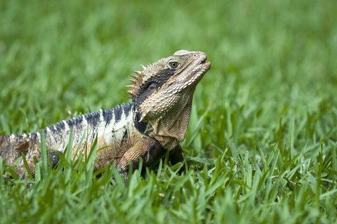 Flynns Beach Resort - South Australia Travel 14