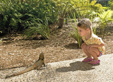 Flynns Beach Resort - South Australia Travel 16