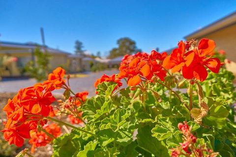 Hunter Oasis - South Australia Travel 42