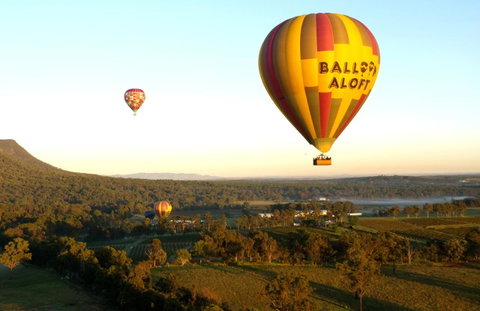 Coal D\' Vine VIEW - Cessnock NSW - South Australia Travel 14