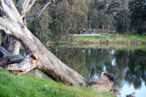Mercure Albury - South Australia Travel 15