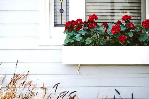 Morpeth Cottage - South Australia Travel 41