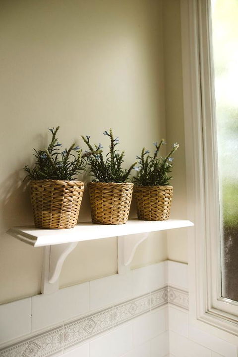 Morpeth Cottage - South Australia Travel 31