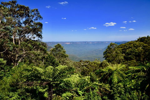 Dangal Gardens - South Australia Travel 28