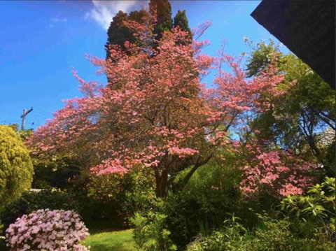 Dangal Gardens - South Australia Travel 27