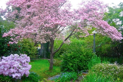 Dangal Gardens - South Australia Travel 3