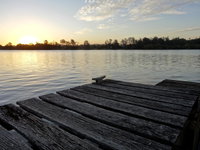 Book Urunga Accommodation Vacations South Australia Travel South Australia Travel