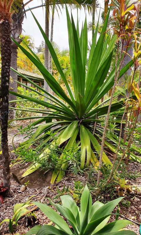 Ballina Beach Resort - South Australia Travel 35