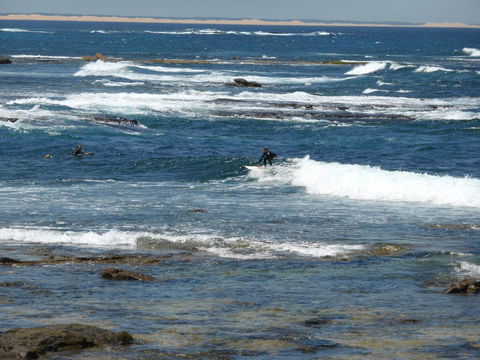 Arena Luxury Beachfront Apartment - South Australia Travel 26
