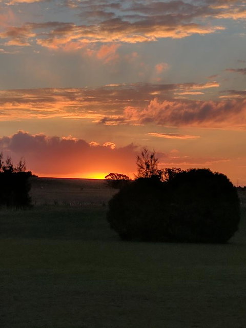 Madigan Wine Country Cottages - South Australia Travel 13