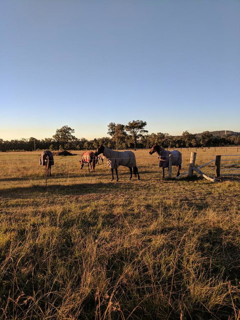 Madigan Wine Country Cottages - South Australia Travel 8