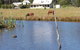 Madigan Wine Country Cottages - thumb 2