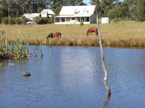 Madigan Wine Country Cottages - South Australia Travel 2