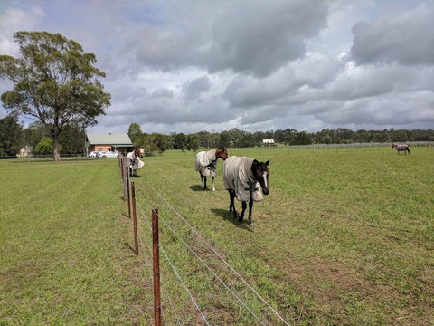 Madigan Wine Country Cottages - South Australia Travel 9