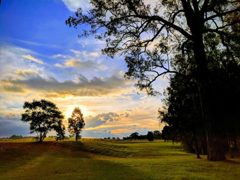 Madigan Wine Country Cottages - South Australia Travel 11