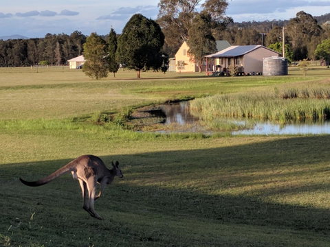 Madigan Wine Country Cottages - South Australia Travel 6