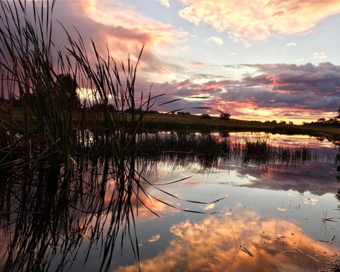 Madigan Wine Country Cottages - South Australia Travel 16