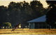 Madigan Wine Country Cottages - thumb 5