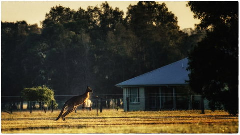 Madigan Wine Country Cottages - South Australia Travel 5