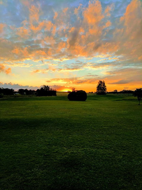 Madigan Wine Country Cottages - South Australia Travel 12